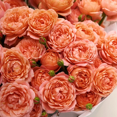 Монобукет из кустовой розы Джульетта